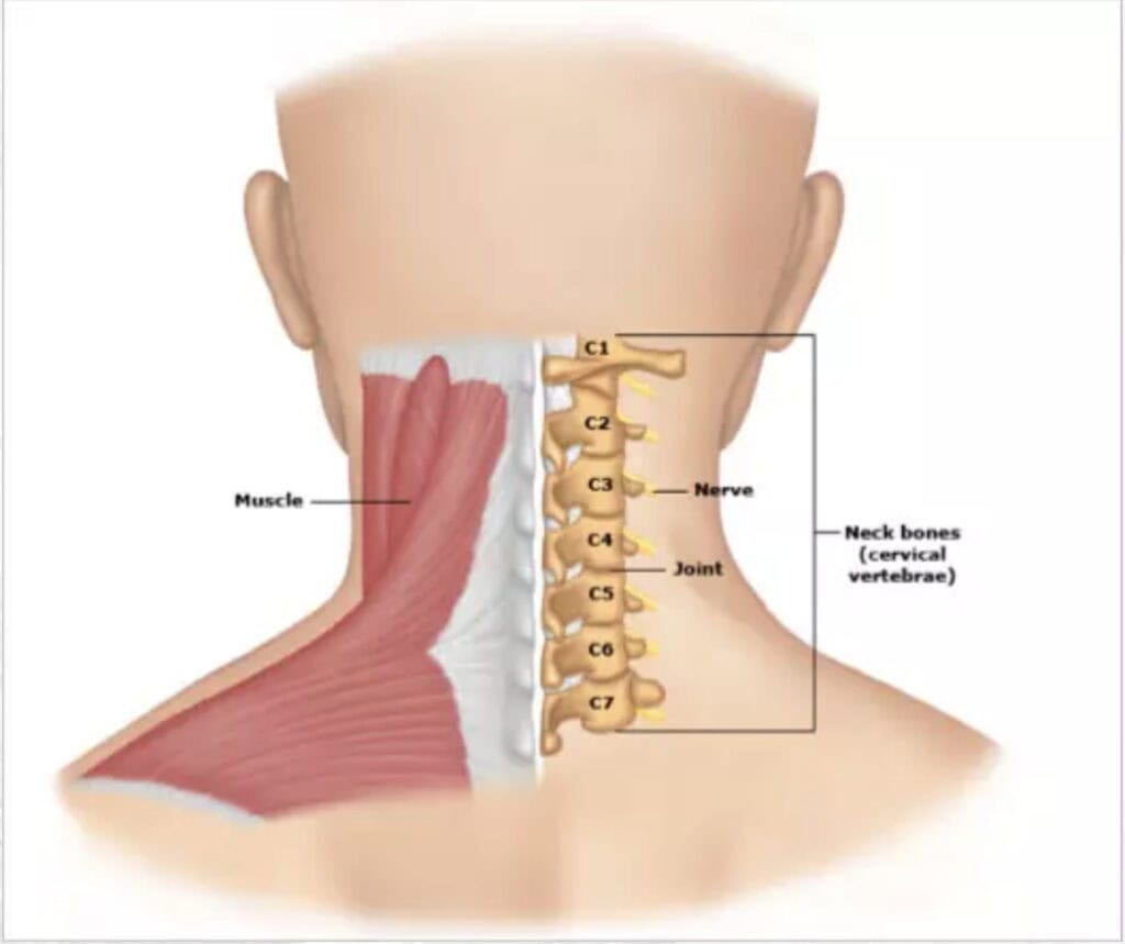neck pain treatment doctor