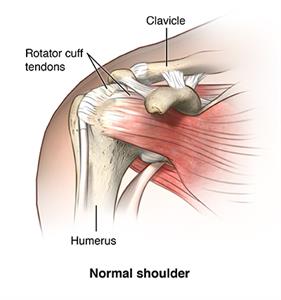 Shoulder Pain