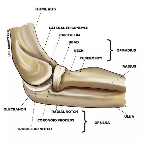 elbow pain