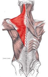 back pain