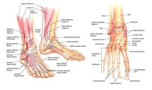 knee pain