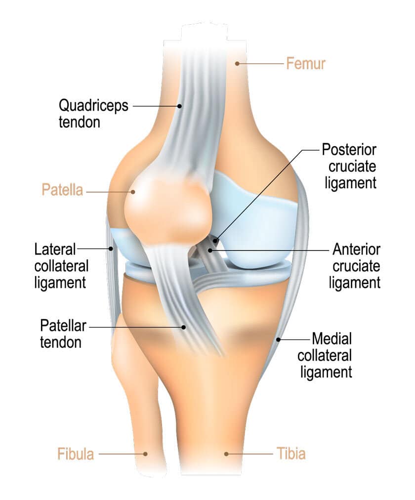 Knee Pain