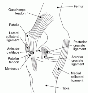 knee pain