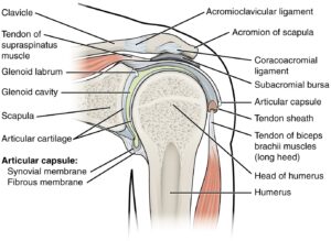 shoulder pain