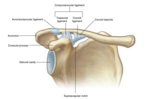 shoulder pain