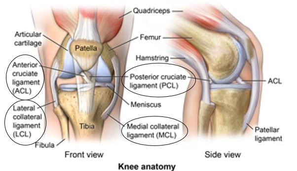 knee pain doctor singapore