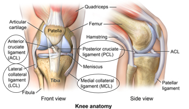 Singapore knee pain specialist