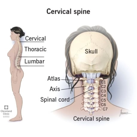 gallbladder neck pain