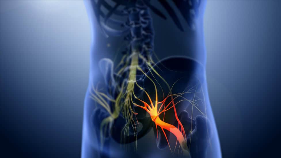 lower back pain after standing too long